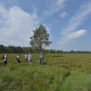 Chocianów